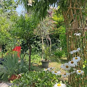  Alloggio in famiglia With A Garden